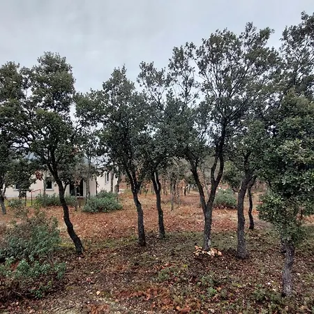 La Lumbre: Encanto Con Piscina Todo El Ano