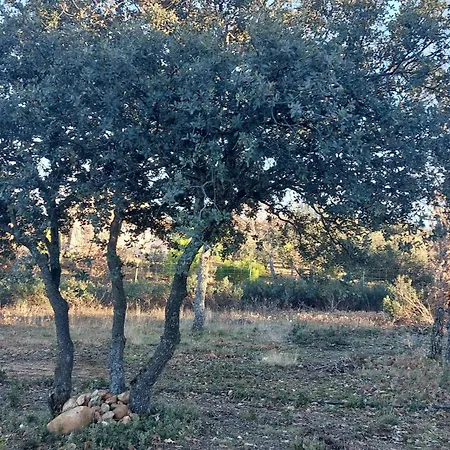La Lumbre: Encanto Con Piscina Todo El Ano * Castillejo de Mesleon