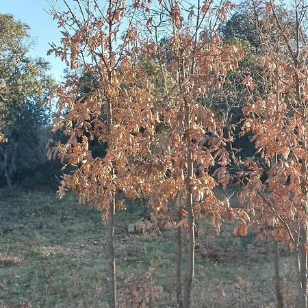 Villa La Lumbre: Encanto Con Piscina Todo El Ano Castillejo de Mesleon