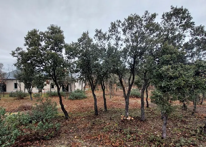 La Lumbre: Encanto Con Piscina Todo El Ano