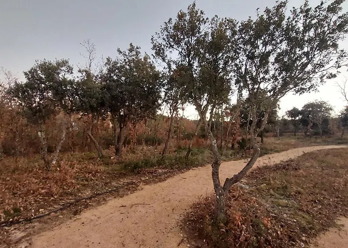 La Lumbre: Encanto Con Piscina Todo El Ano *