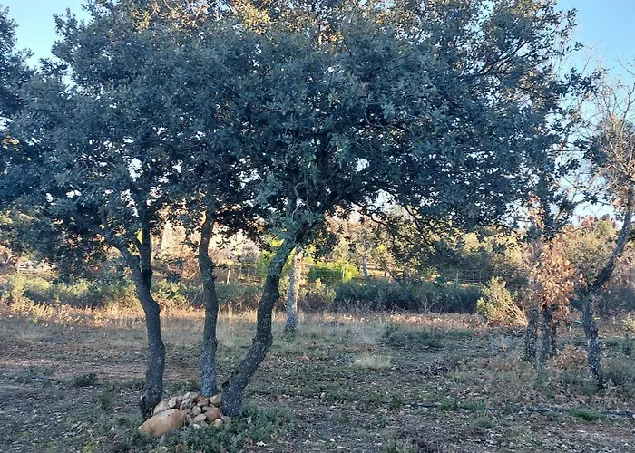 La Lumbre: Encanto Con Piscina Todo El Ano * Castillejo de Mesleón