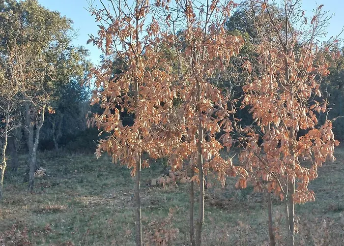 Willa La Lumbre: Encanto Con Piscina Todo El Ano Castillejo de Mesleón